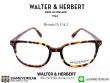 กรอบแว่นสายตา Walter&Herbert Bronte 