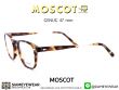 แว่นตา MOSCOT GENUG 47 SPOT TORTOISE GOLD