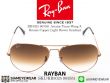 แว่นตา Rayban RB3025 Aviator Light Brown