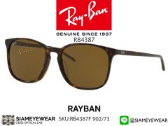 แว่น Rayban RB4387F 902/73